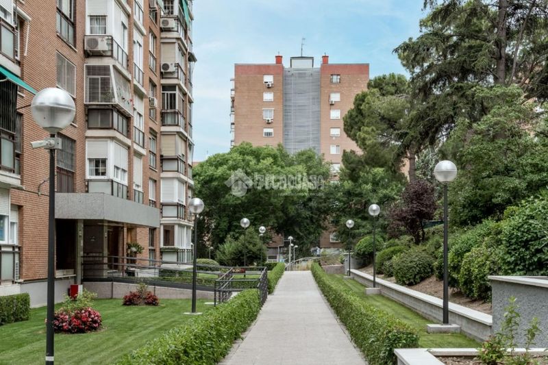 Foto 13b1c3bf-a104-4fa6-8edf-950156b729cb. Pis a Santa Eugenia Madrid