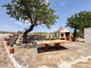 Finca rústica  N/a. Terreno con olivos, caseta y agua