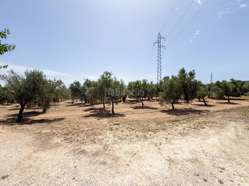 Foto a68c4bb9-54cb-4e09-9bfc-c1b4eb9483a0. Finca rústica a Cortes de Baza
