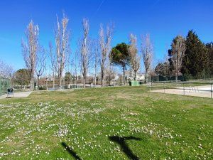 Foto b04b80e6-94f8-4a03-9d4e-edf3b0eea651. Xalet amb xemeneia calefacció aparcament piscina a Pinseque