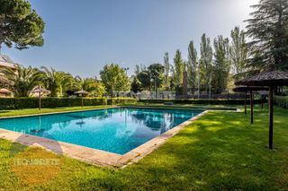 Lloguer Pis a Norte. Piso en alquiler en majadahonda