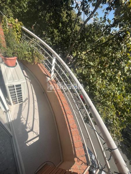 Foto 529fad06-9e4e-441a-8dd5-0bba9f207e84. Pis a Trinitat Vella Barcelona