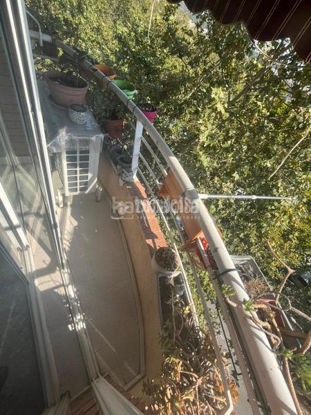 Foto e260a700-db38-40f3-b95d-3f185bfd0ce0. Pis a Trinitat Vella Barcelona