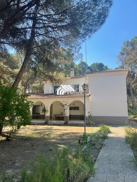 Foto c626caae-7087-49a2-890d-d098c95b1bdf. Chalet  con parcela en Pedanías - Extrarradio Albacete