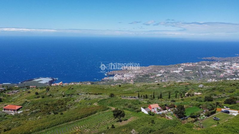 Foto 691e07c8-4cea-41bd-a4ae-9af43b36420a. Finca rústica a Icod de los Vinos pueblo Icod de los Vinos