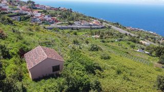Finca rústica a Icod de los Vinos pueblo. Terrenos en venta en icod de los vinos