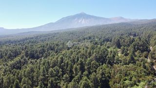 Finca r�stica en Buen Paso - La Mancha. Terrenos en venta en icod de los vinos