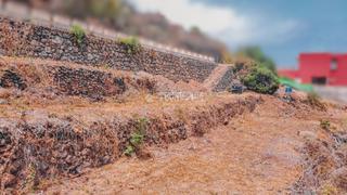 Finca rústica a Icod de los Vinos pueblo. Terrenos en venta en icod de los vinos