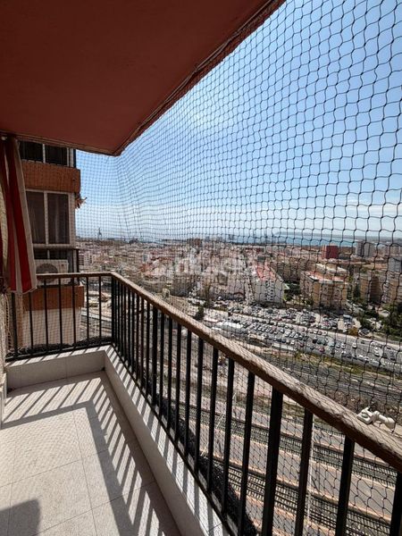 Foto 532ef9f9-66d8-47f9-90bd-fa995dd6ab95. Pis a Santo Domingo Alicante