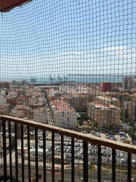 Foto cf325b6c-5752-4d17-9b3c-9483c7536398. Pis a Santo Domingo Alicante