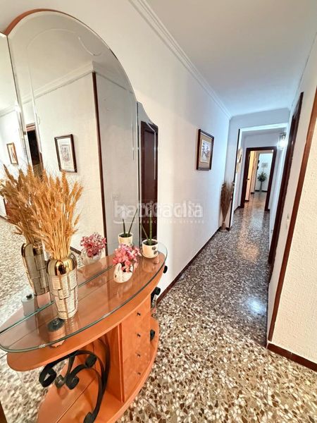 Foto dfa53a85-8a26-459a-b25a-cd34ef2b52ea. Pis a Florida Alta Alicante