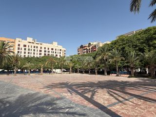 Pis a Florida Baja