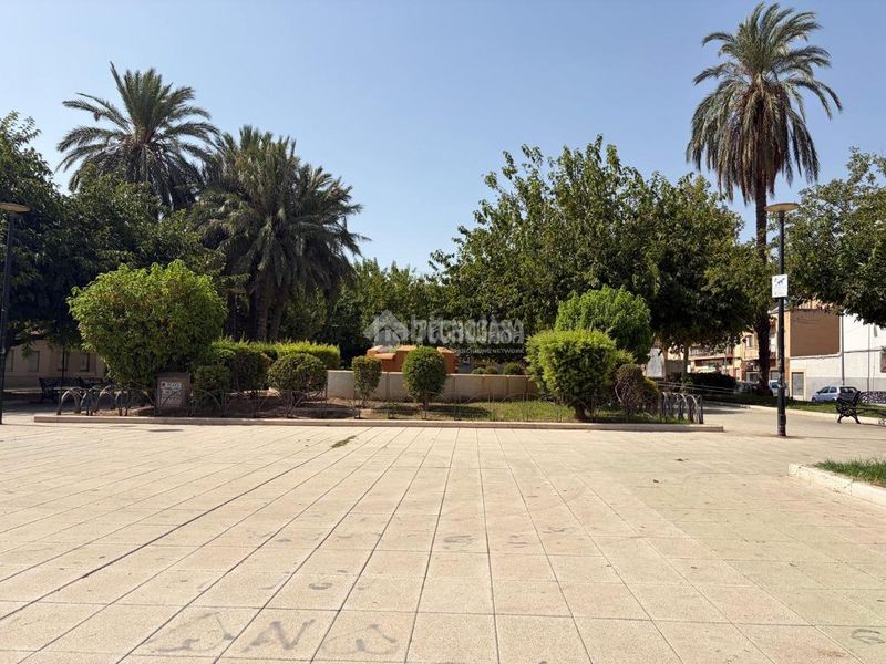 Foto f58df9ce-bedd-4877-8845-6c7e1332f824. Pis a Ciudad de Asís Alicante