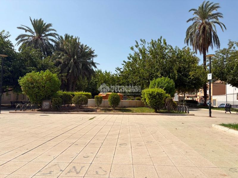 Foto 0c5a1aef-2e09-4c1b-baa7-934eb85093df. Pis a Ciudad de Asís Alicante