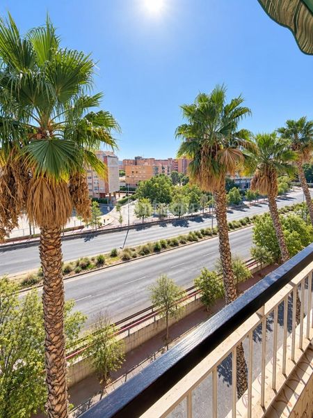 Foto f8b897ed-275f-438a-b5a6-8a72dbe0f0e7. Pis a Florida Alta Alicante