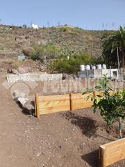 Finca rstica en Santidad. Terrenos en venta en arucas