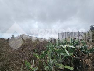 Finca rstica en Cardones. Terrenos en venta en arucas