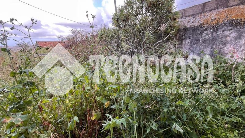 Foto 133eb8ad-8374-4fa3-9d03-e97de4ea2d68. Masia a Arucas casco Arucas