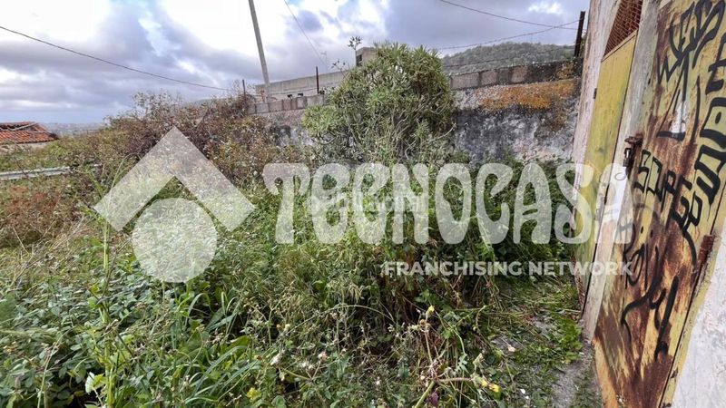 Foto 32cb1c28-75c0-41a7-8055-4a6ad50a7e08. Masia a Arucas casco Arucas