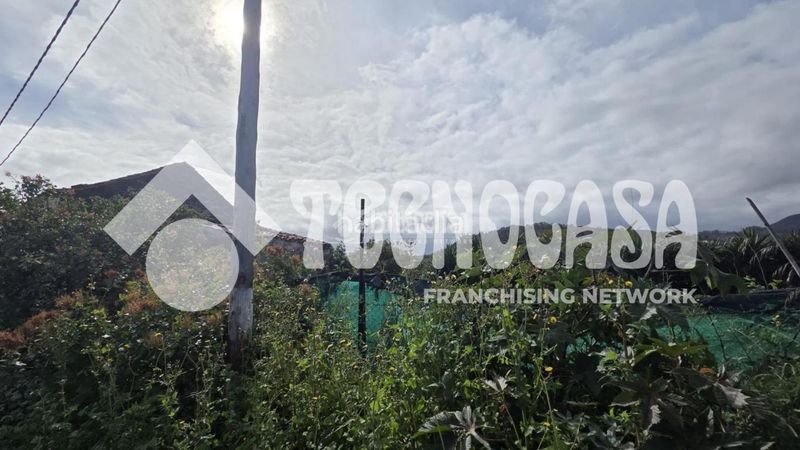 Foto 62e9d2e3-66ed-4328-a500-27614c2f842a. Masia a Arucas casco Arucas