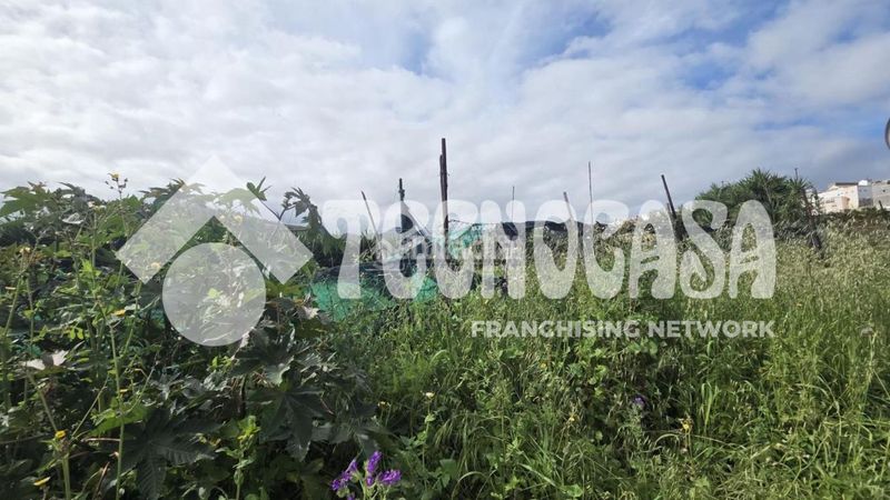 Foto 79b09cd0-f07e-4b06-9f26-0adf71fc9225. Masia a Arucas casco Arucas