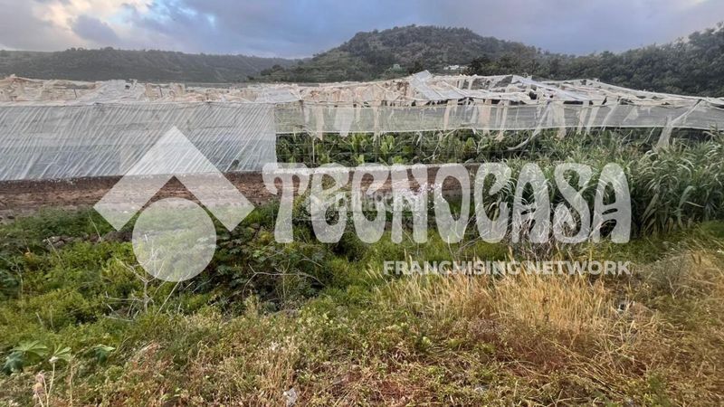 Foto 0b39b1eb-9ac7-4393-9263-3457bae90210. Finca rústica a Arucas casco Arucas