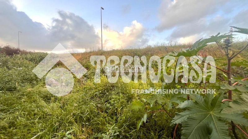 Foto 3f7f789e-abc3-4905-9eba-2d99a78ee590. Finca rústica a Arucas casco Arucas