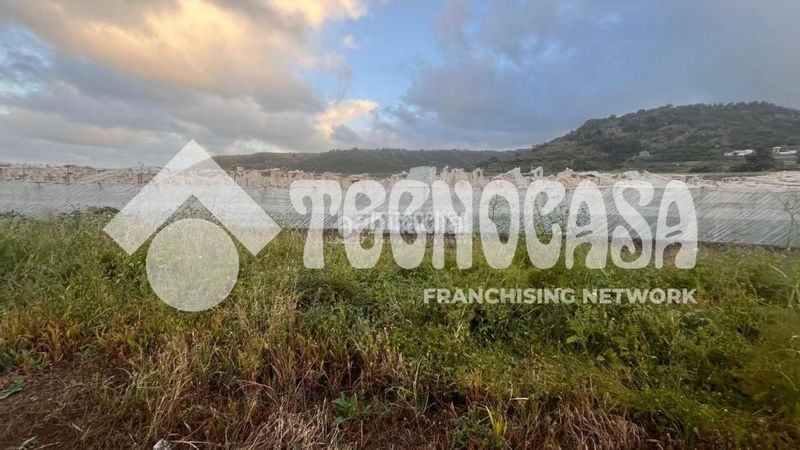 Foto 6900aa12-6d54-4c27-a19b-0fa1209a048f. Finca rústica a Arucas casco Arucas