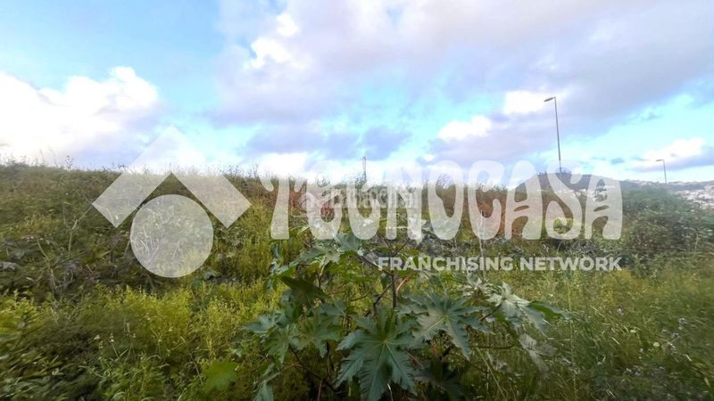 Foto 6f4dca99-136c-4a59-bed8-f2fa071e3e5d. Finca rústica a Arucas casco Arucas