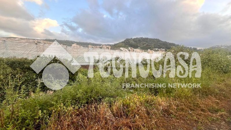 Foto ba4397b2-c173-419f-a98d-27ee973f5dad. Finca rústica a Arucas casco Arucas