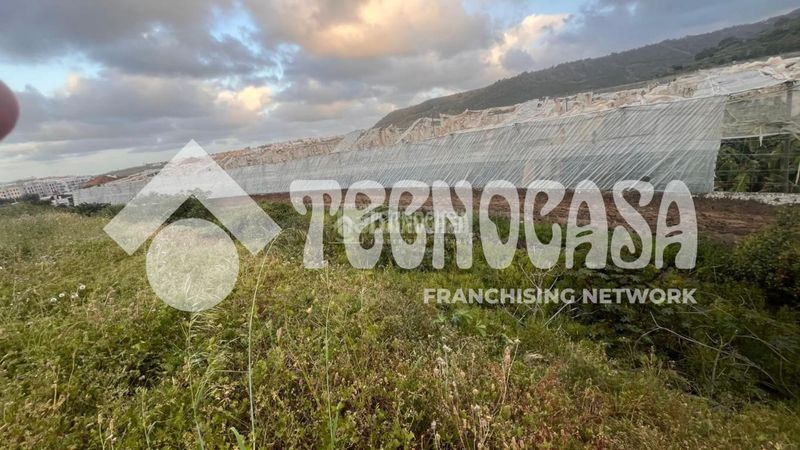 Foto be013a37-e8c7-4b65-87ce-4fba53038664. Finca rústica a Arucas casco Arucas