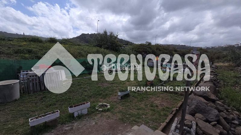 Foto cbb1cb55-5a00-4a1d-8a3c-2e901f7967e3. Finca rústica a Arucas casco Arucas