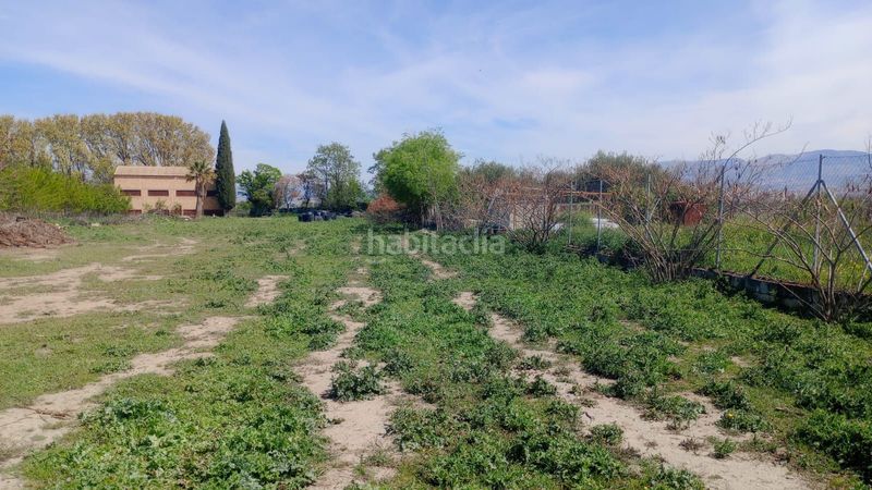 Foto 10f6f3ea-9c65-493b-8694-fb30f04e8c07. Finca rústica a Casco Histórico Churriana de la Vega