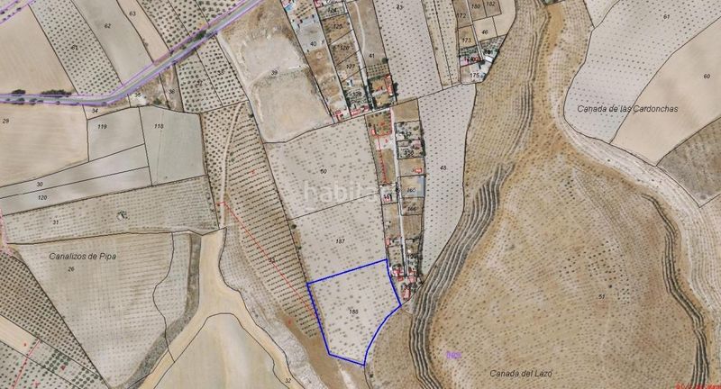 Foto ef6bcbe0-1e42-475c-a477-61b167365ced. Finca rústica a Residencial Triana - Barrio Alto Gabias (Las)