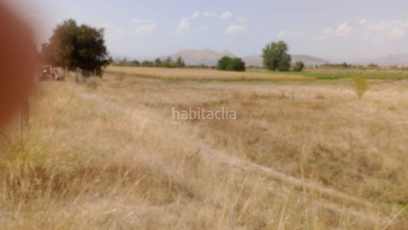 Foto 01597255-8b1a-4b93-8f23-dbab3254b011. Fondo rustico in Camino de Ronda Granada