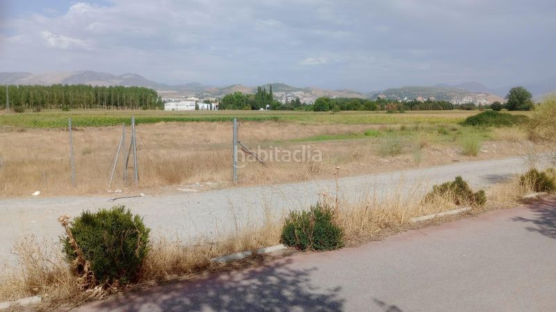 Foto 71e982c0-18ce-4e87-a7b1-ea03ec6ee1d0. Fondo rustico in Camino de Ronda Granada