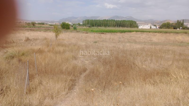 Foto a1dabb0a-04d8-4b3f-b05f-413aa1e55372. Fondo rustico in Camino de Ronda Granada