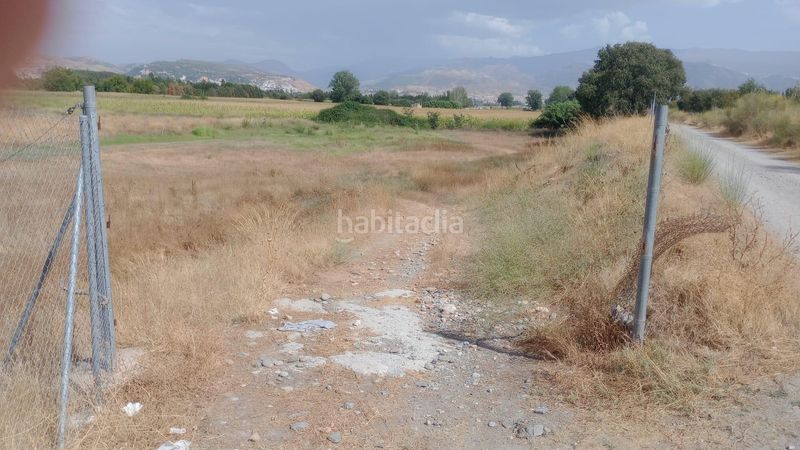 Foto a8b7222e-8971-42c4-9ced-60b7b69d0af0. Fondo rustico in Camino de Ronda Granada