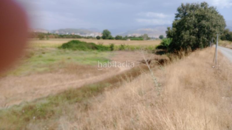 Foto c3640e1e-868c-4ac2-af80-af10f0941946. Fondo rustico in Camino de Ronda Granada