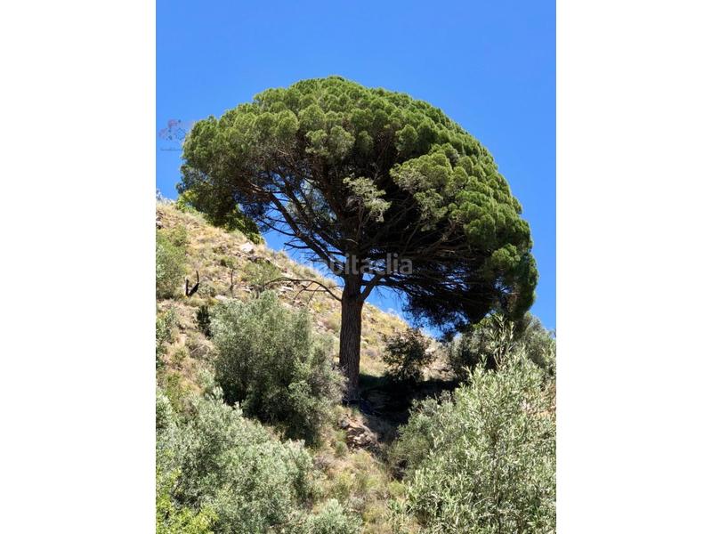 Foto 8f014755-a6c5-4aa0-9ff4-3c06694eaa43. Casa a Lanjarón