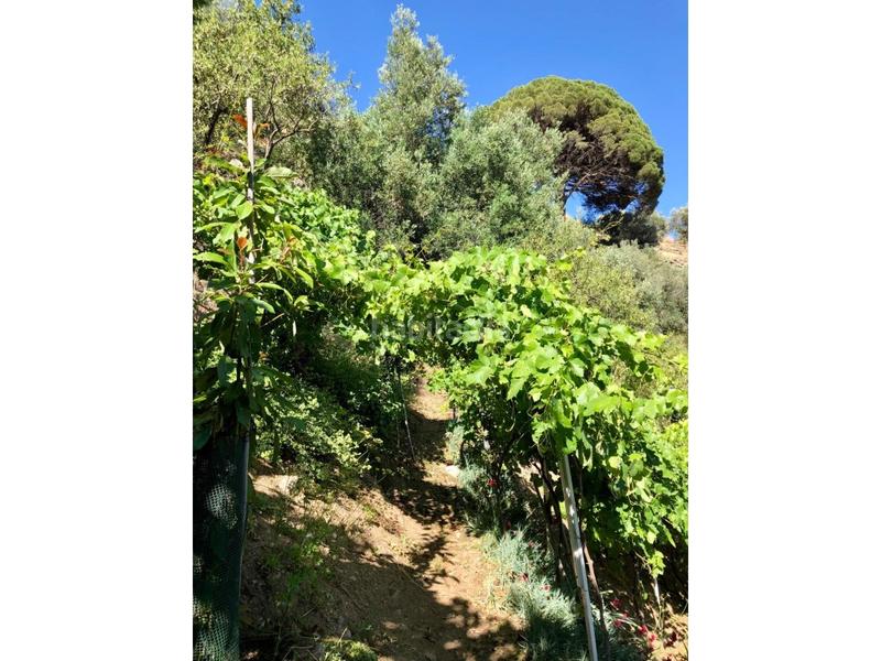 Foto 989cad59-edbb-40ba-b824-8bde0cbcd80e. Casa a Lanjarón