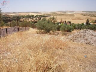 Rural plot  Rio guadalquivir. Parcela urbanizable en cortijo san javier