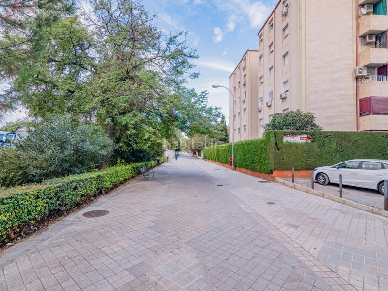 Foto 9cb1e635-f1ab-4146-b798-9545e0003621. Appartement dans calle adelfa 5 dans Fígares Granada