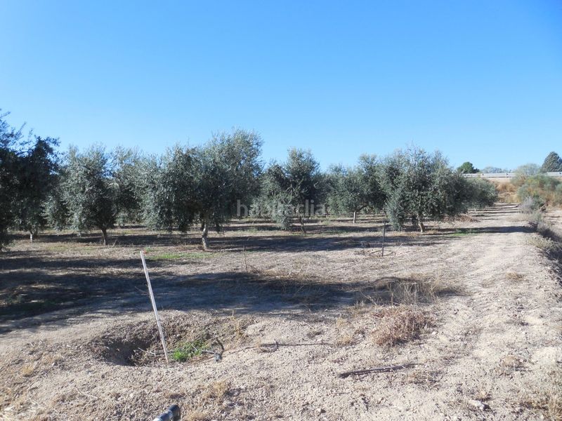 Foto 24434900-966c-4227-854f-14d95c361b87. Finca rústica a Moraleda de Zafayona