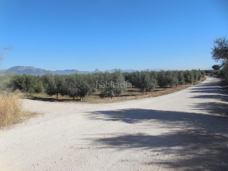 Foto 2533bdbc-ddbf-433c-b1e6-7cc00f993254. Finca rústica a Moraleda de Zafayona