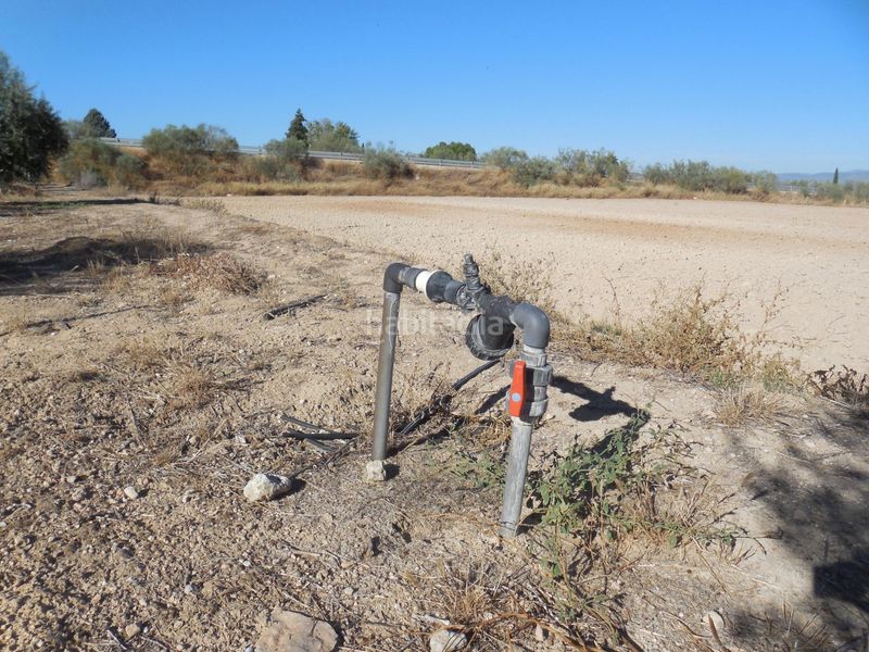 Foto 2cc6e3fc-3724-4a11-9505-04e3c7b2c085. Finca rústica a Moraleda de Zafayona