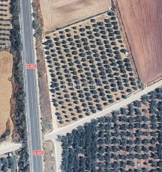 Foto bbfa86c6-951f-472e-89bb-071ba72cca51. Finca rústica a Moraleda de Zafayona