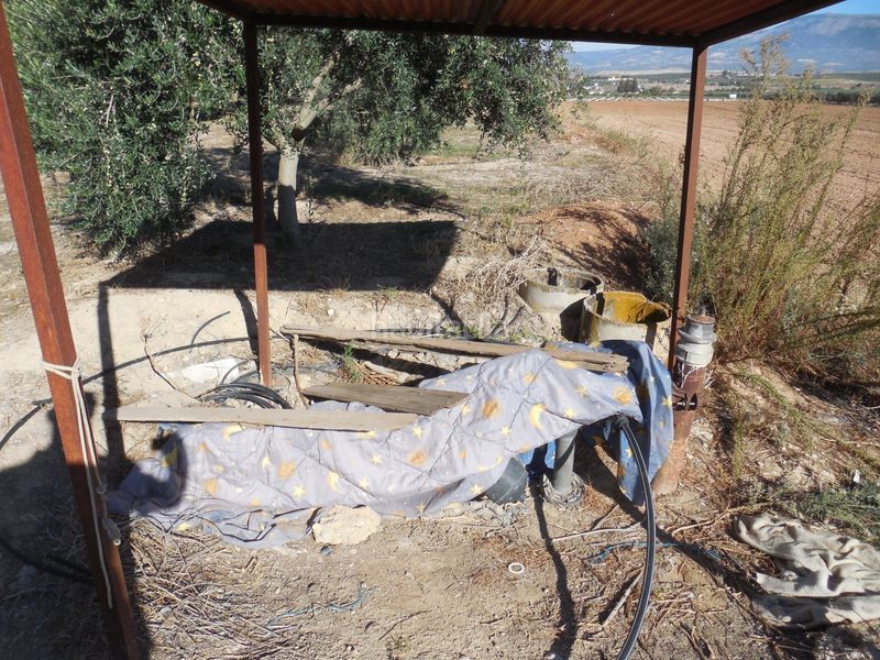 Foto c6c4aaf8-8cf5-4fc3-9898-d114e35fcac8. Finca rústica a Moraleda de Zafayona