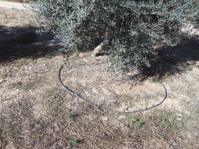 Foto cbd39da7-dfdb-4421-97d4-3cb29e8b148b. Finca rústica a Moraleda de Zafayona