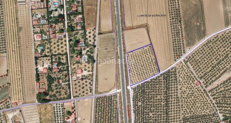 Foto ea48e829-1dff-46ac-b4fb-d222e786d2c8. Finca rústica a Moraleda de Zafayona